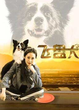 飞盘犬