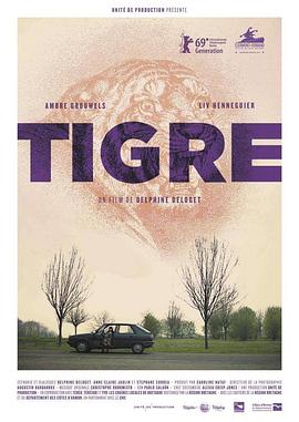 虎 Tigre
