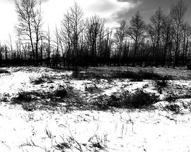 溃烂 愈合 掩藏 潰爛 癒合 掩藏