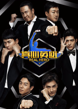 真心英雄网络版