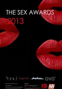 2013艳星颁奖典礼